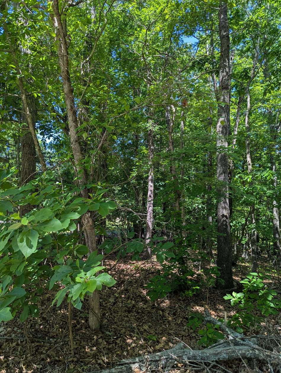 3.8 Acres of Residential Land for Sale in Galena, Missouri