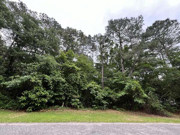 1.26 Acres of Residential Land for Sale in Dudley, North Carolina