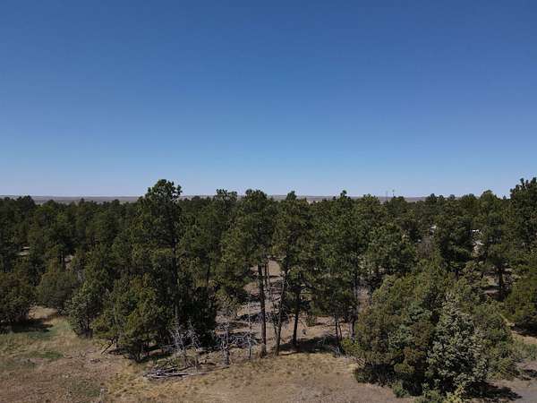 19.3 Acres of Land for Sale in Upton, Wyoming