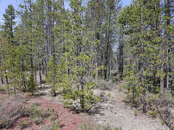 0.95 Acres of Residential Land for Sale in Chiloquin, Oregon
