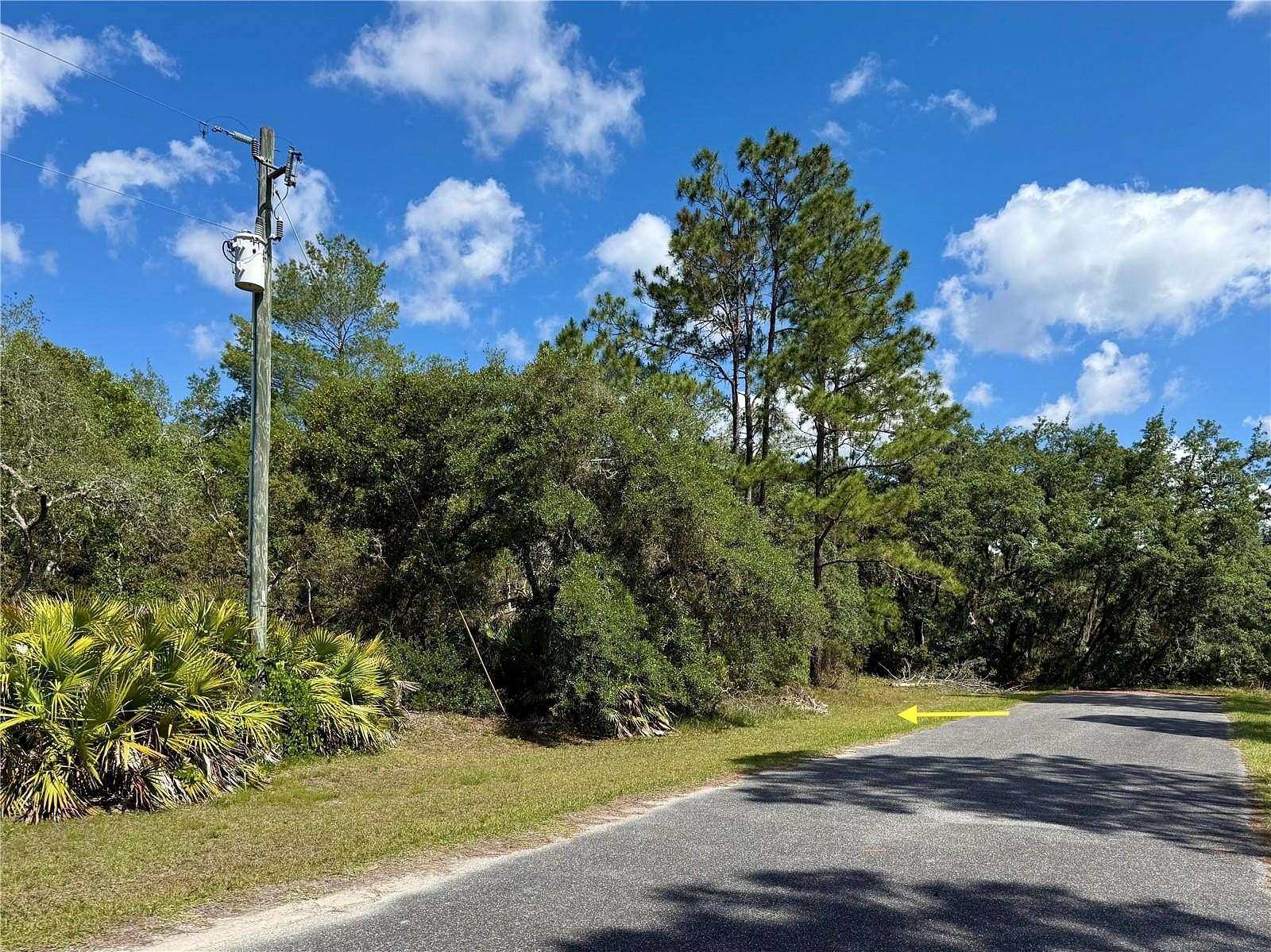 1 Acre of Residential Land for Sale in Eustis, Florida