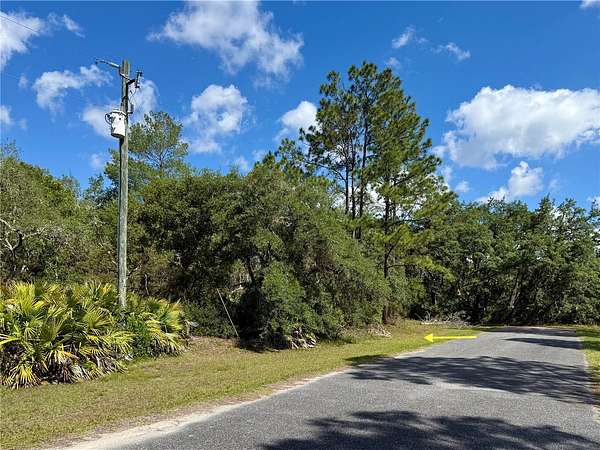 1 Acre of Residential Land for Sale in Eustis, Florida