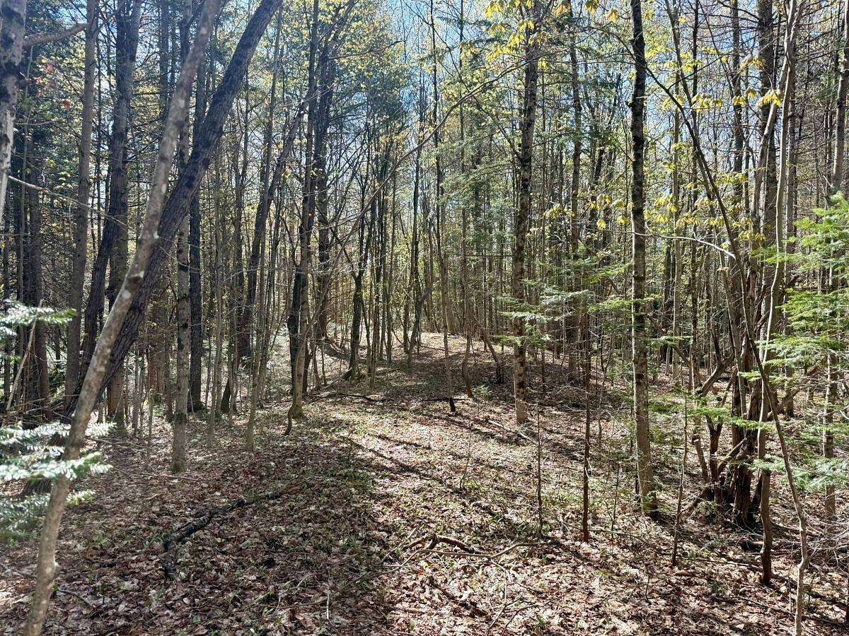 5.6 Acres of Land for Sale in Piseco, New York