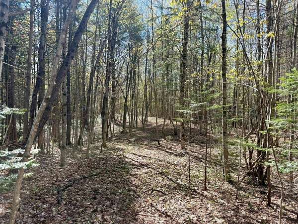 5.6 Acres of Land for Sale in Piseco, New York