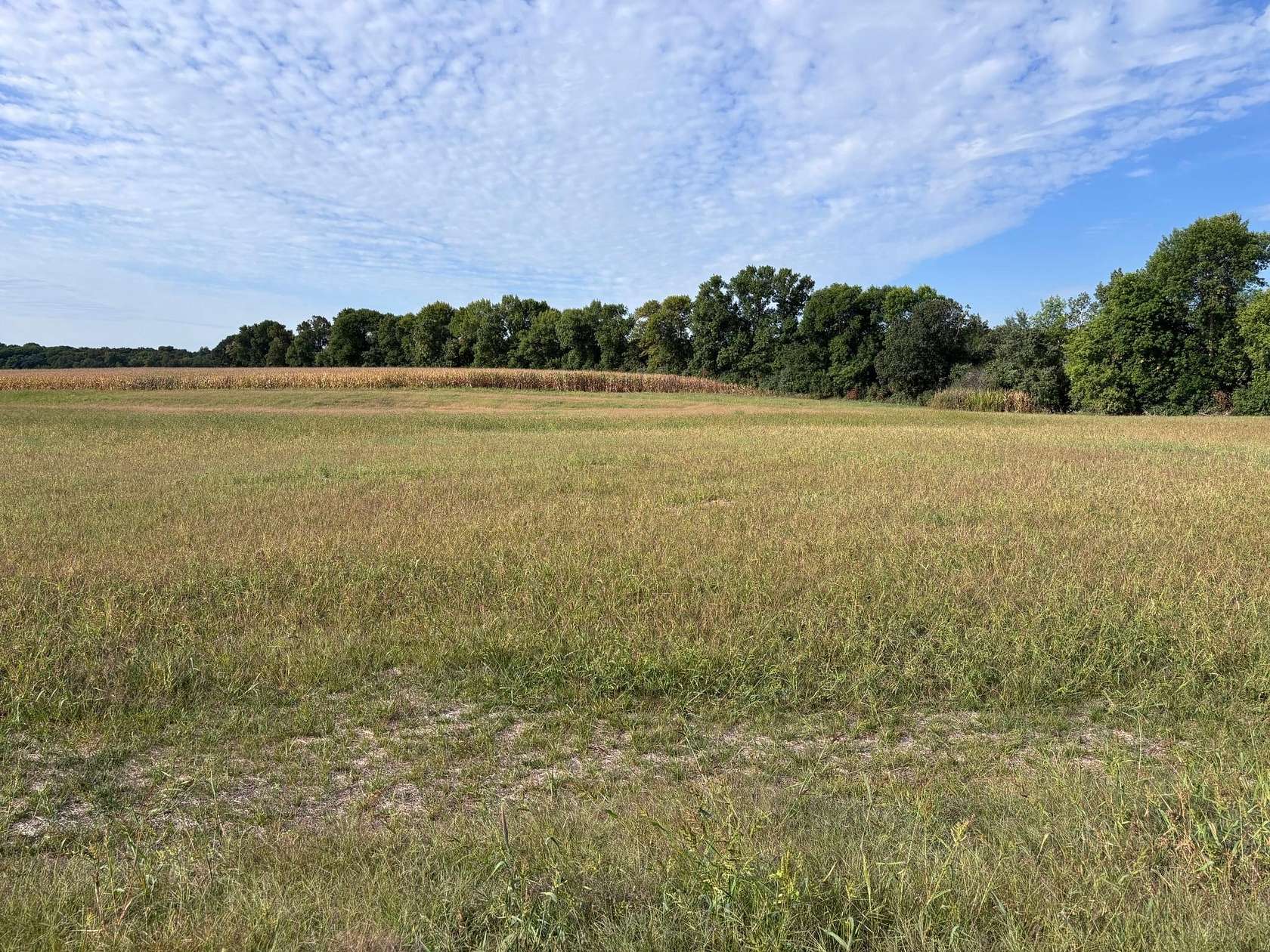 1.25 Acres of Residential Land for Sale in Alexandria, Minnesota