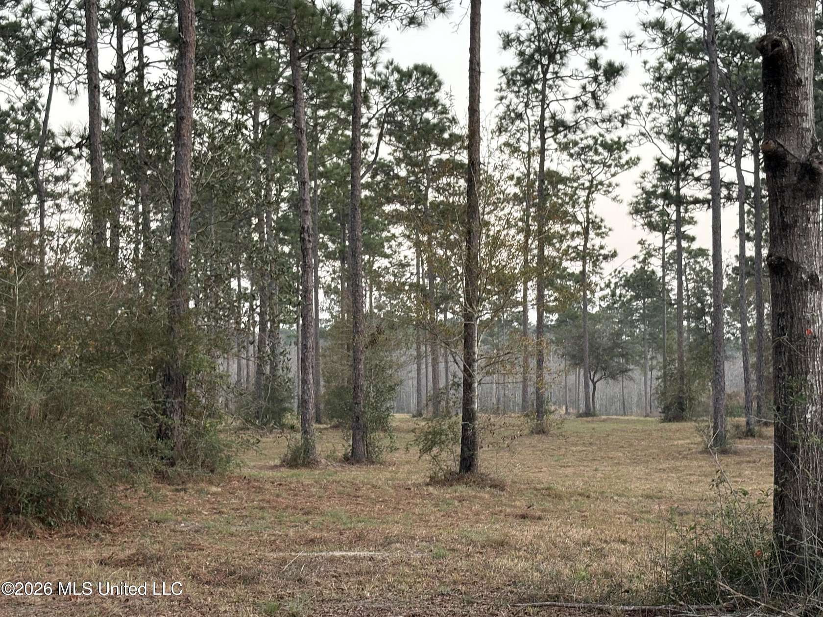 47 Acres of Land for Sale in Moss Point, Mississippi