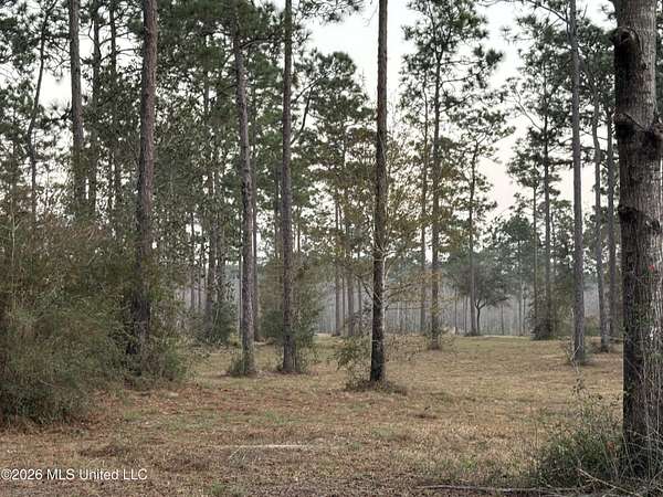 47 Acres of Land for Sale in Moss Point, Mississippi