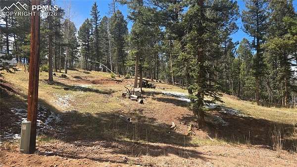 0.3 Acres of Residential Land for Sale in Florissant, Colorado