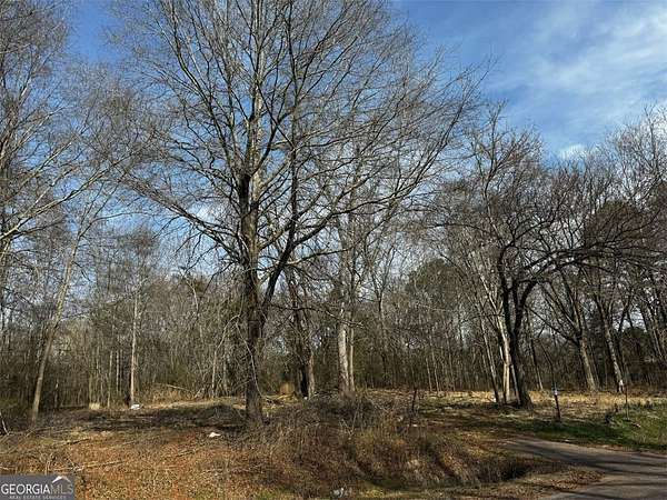 1 Acre of Residential Land for Sale in Winterville, Georgia