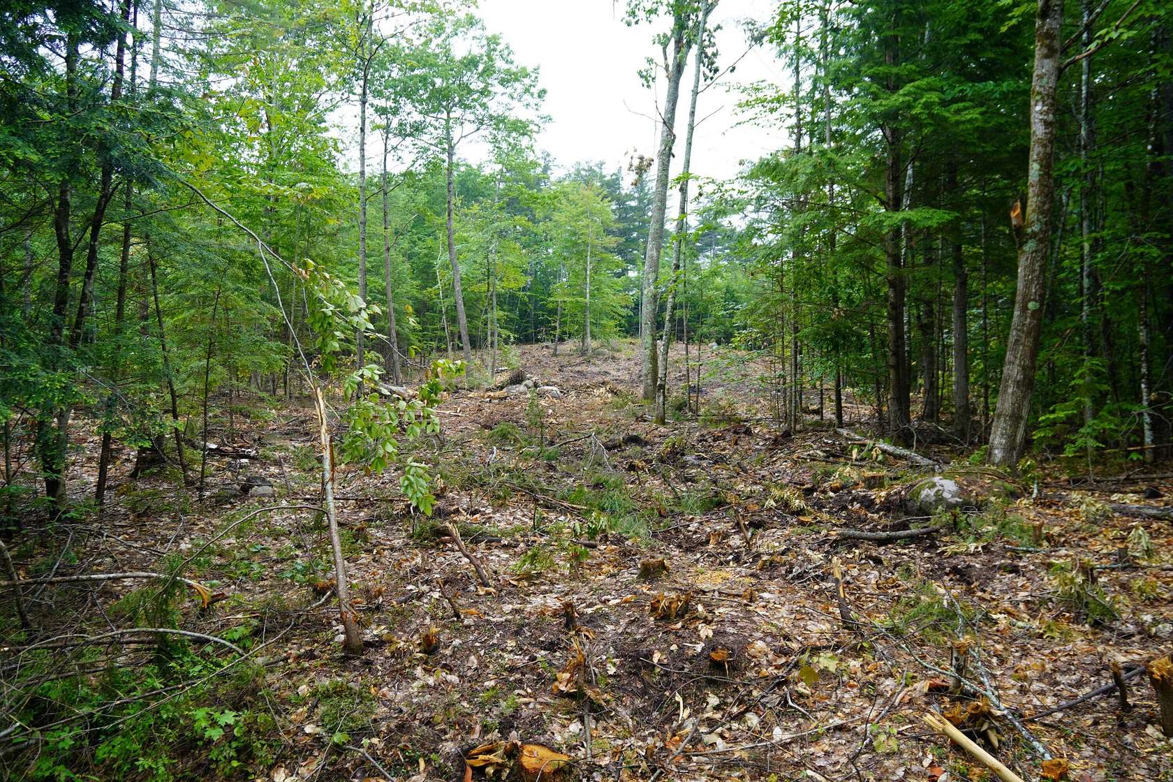 1.37 Acres of Residential Land for Sale in Harrison, Maine