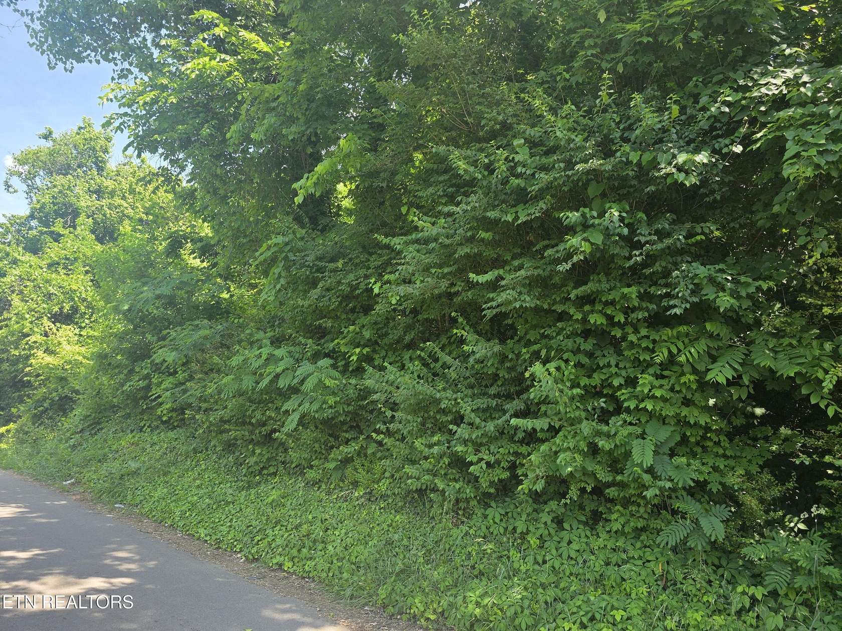 0.17 Acres of Residential Land for Sale in Knoxville, Tennessee