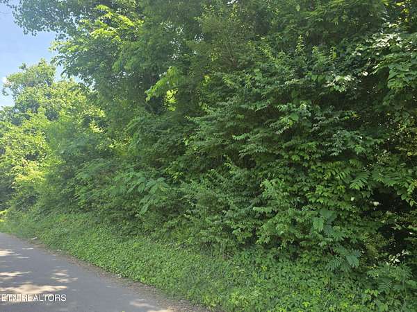 0.17 Acres of Residential Land for Sale in Knoxville, Tennessee