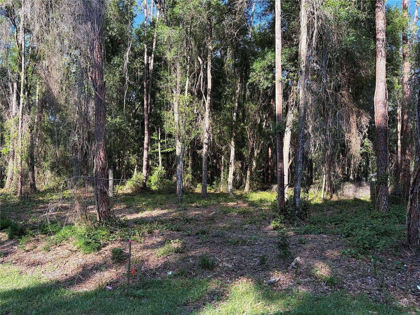 1.22 Acres of Residential Land for Sale in Bushnell, Florida