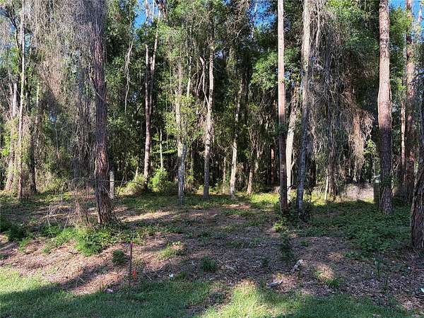 1.22 Acres of Residential Land for Sale in Bushnell, Florida