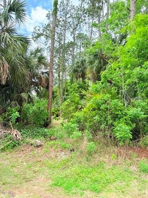 0.33 Acres of Residential Land for Sale in Palm Coast, Florida