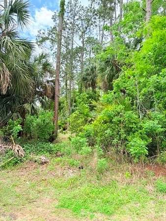 0.33 Acres of Residential Land for Sale in Palm Coast, Florida