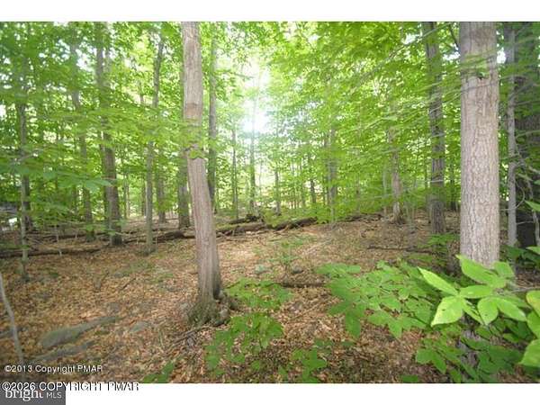 0.31 Acres of Residential Land for Sale in Pocono Pines, Pennsylvania