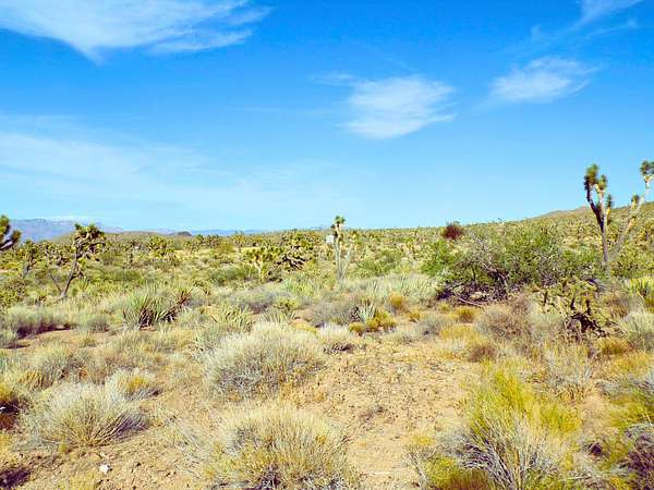 1 Acre of Residential Land for Sale in Dolan Springs, Arizona