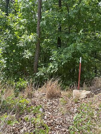 17.4 Acres of Recreational Land for Sale in Norwood, Missouri
