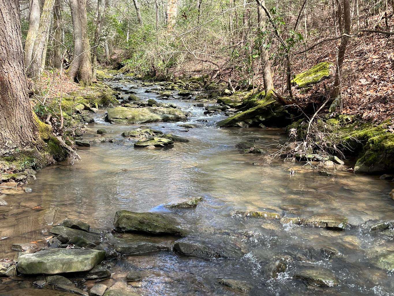 126 Acres of Land for Sale in Whitwell, Tennessee