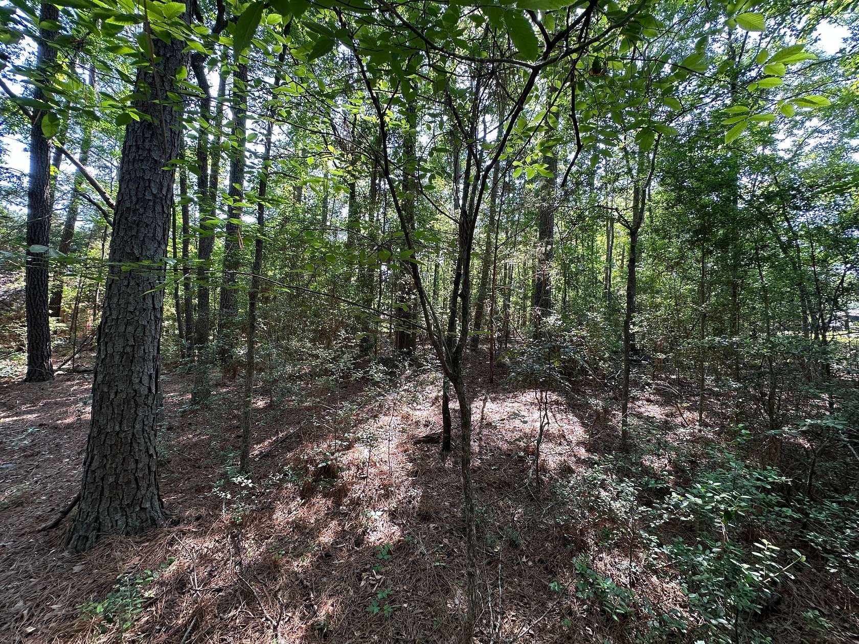 0.29 Acres of Residential Land for Sale in Rusk, Texas