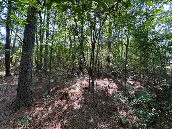0.29 Acres of Residential Land for Sale in Rusk, Texas