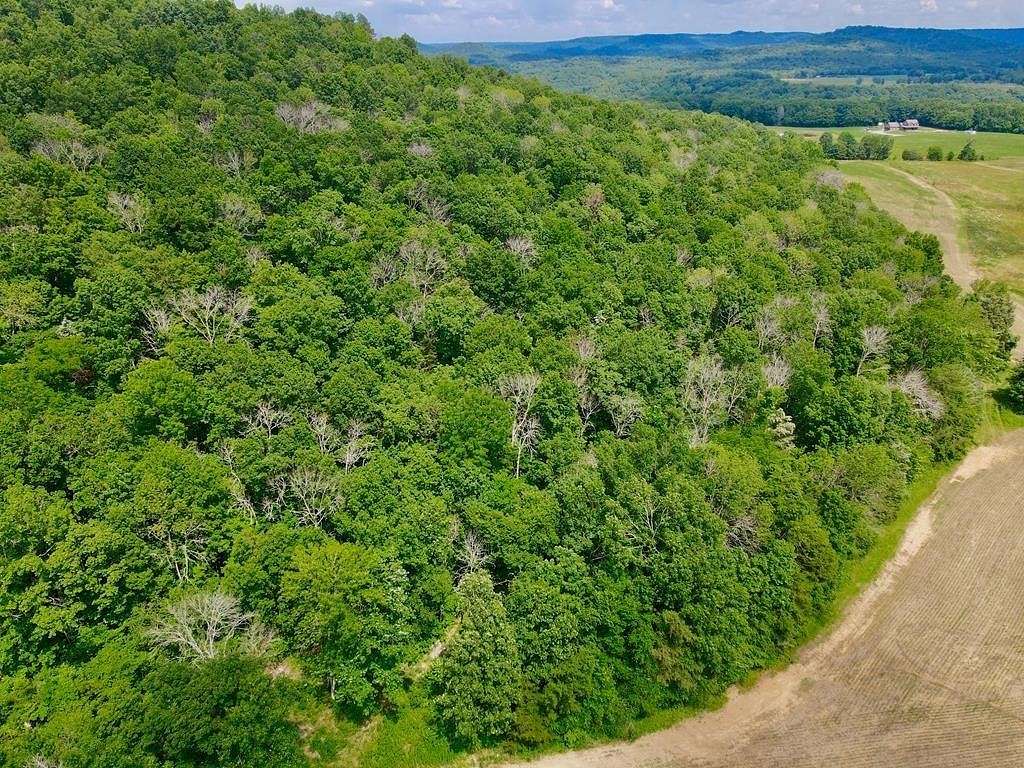 13.4 Acres of Recreational & Residential Land for Sale in Cookeville, Tennessee