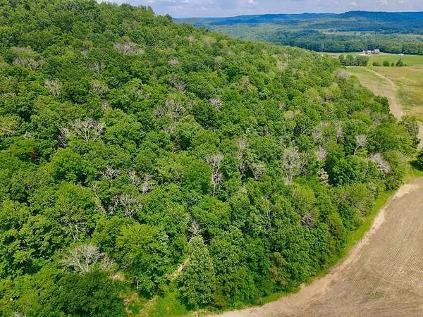 13.4 Acres of Recreational & Residential Land for Sale in Cookeville, Tennessee
