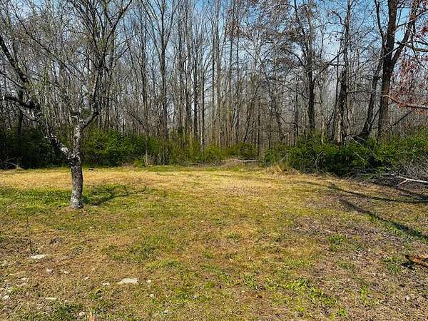 0.58 Acres of Residential Land for Sale in Fairview, Tennessee