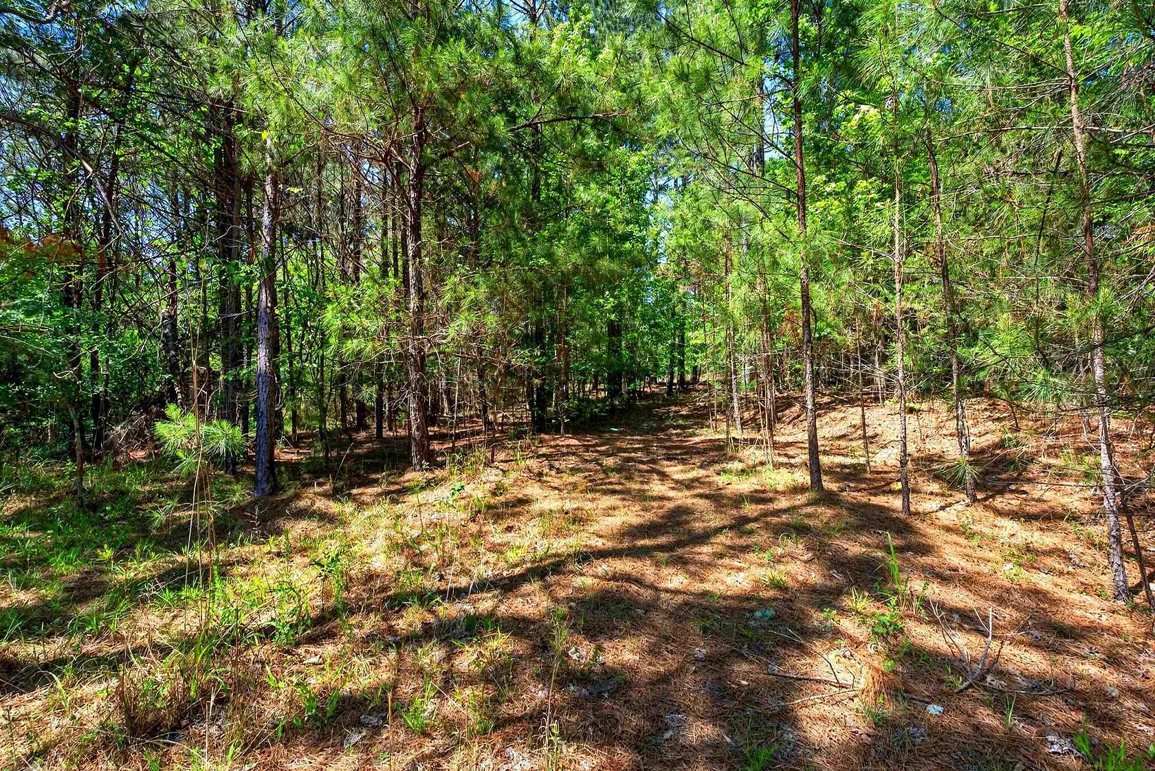 45.1 Acres of Recreational & Residential Land for Sale in Gaffney, South Carolina