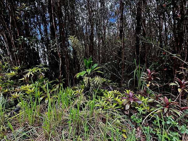 3 Acres of Land for Sale in Mountain View, Hawaii