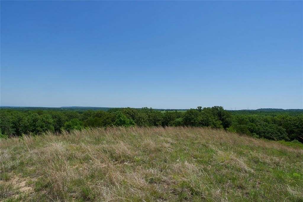 35.6 Acres of Land for Sale in St. Jo, Texas