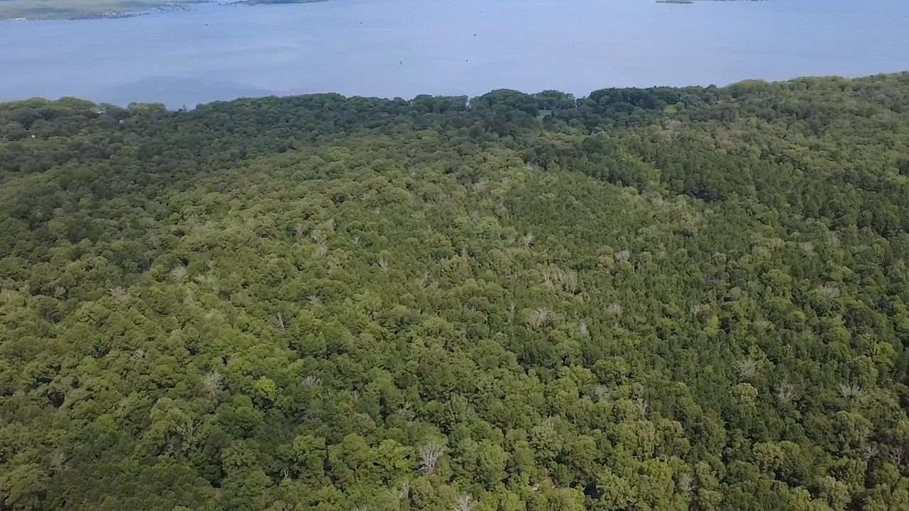 10 Acres of Land for Sale in Mooringsport, Louisiana