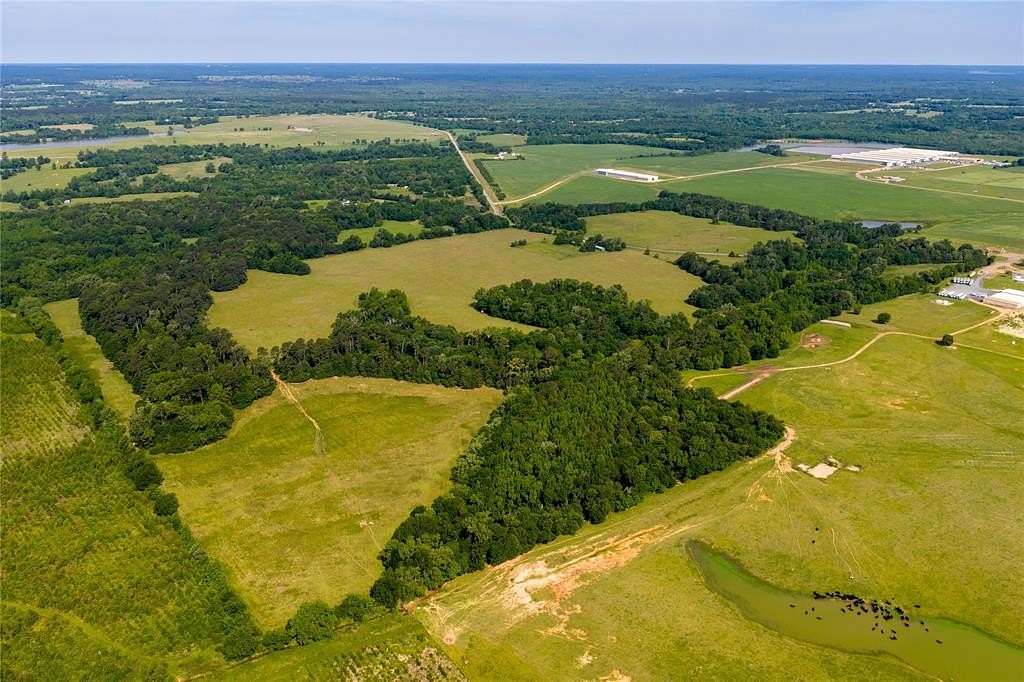 138 Acres of Land for Sale in Pittsburg, Texas