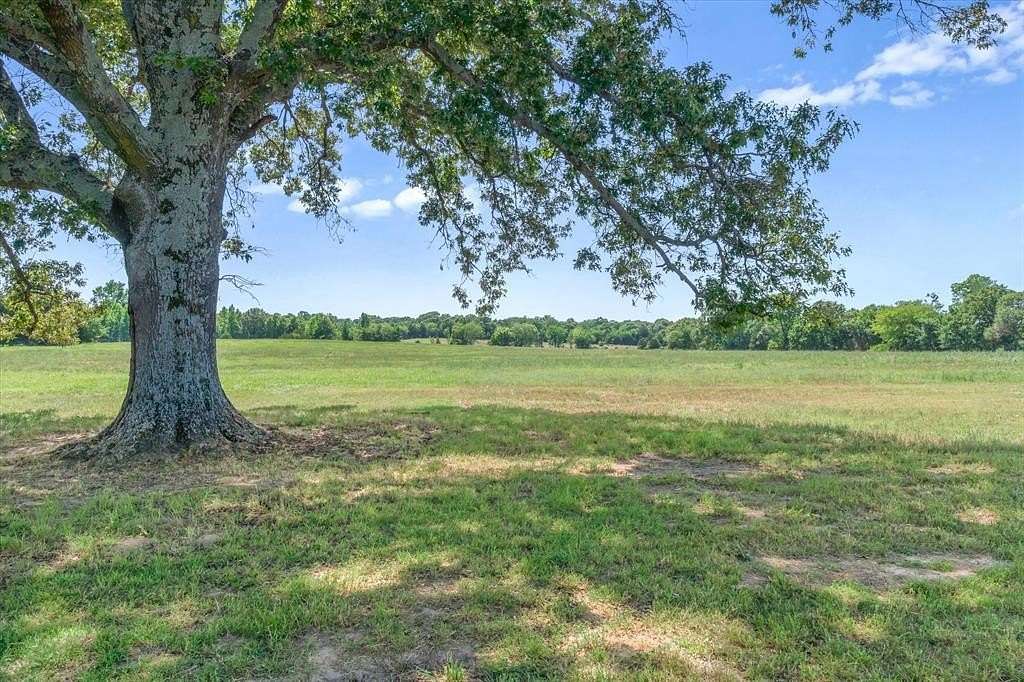 39.8 Acres of Land for Sale in Ben Wheeler, Texas