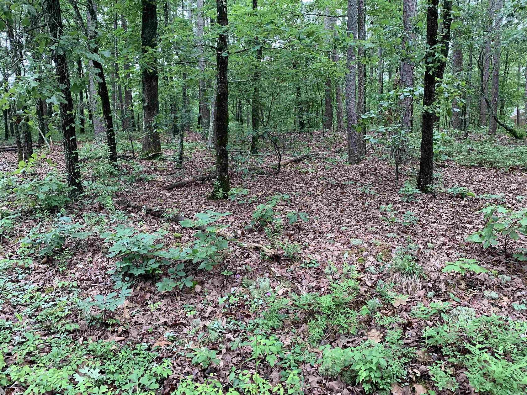 0.26 Acres of Residential Land for Sale in Hot Springs Village, Arkansas