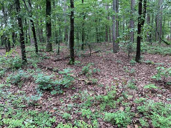 0.26 Acres of Residential Land for Sale in Hot Springs Village, Arkansas