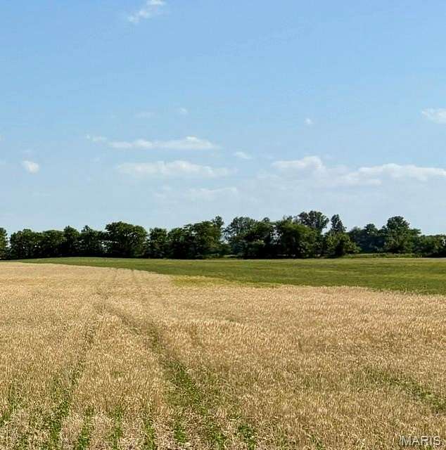 102 Acres of Land for Sale in East Prairie, Missouri