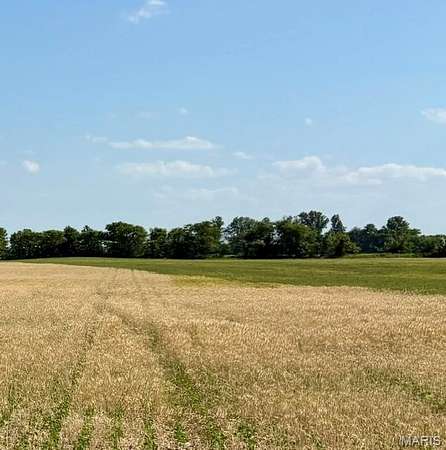 102 Acres of Land for Sale in East Prairie, Missouri