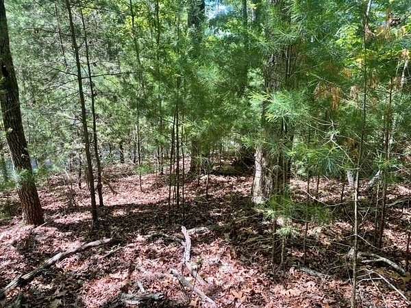 1.14 Acres of Land for Sale in Blairsville, Georgia
