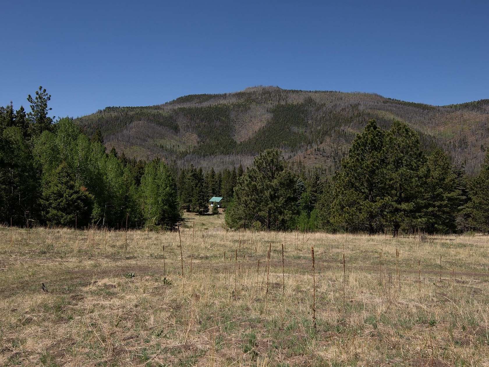 30 Acres of Recreational Land for Sale in Chacon, New Mexico