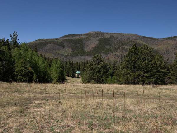 30 Acres of Recreational Land for Sale in Chacon, New Mexico