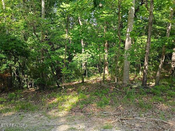 0.6 Acres of Residential Land for Sale in Crossville, Tennessee