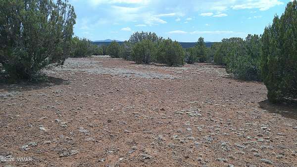 1.16 Acres of Residential Land for Sale in Concho, Arizona