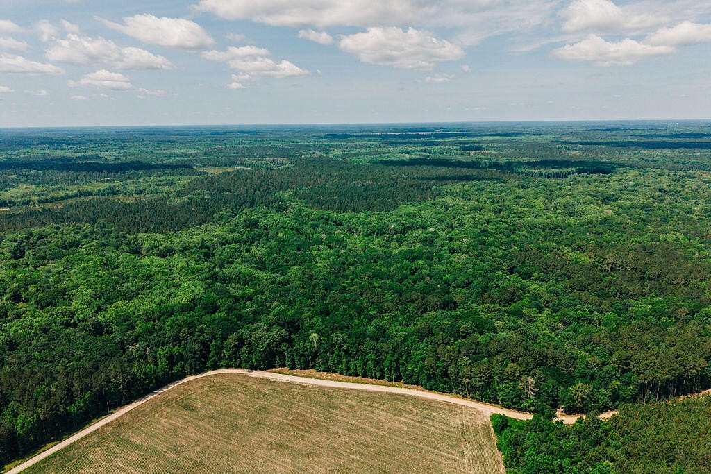 18 Acres of Recreational & Residential Land for Sale in Cope, South Carolina