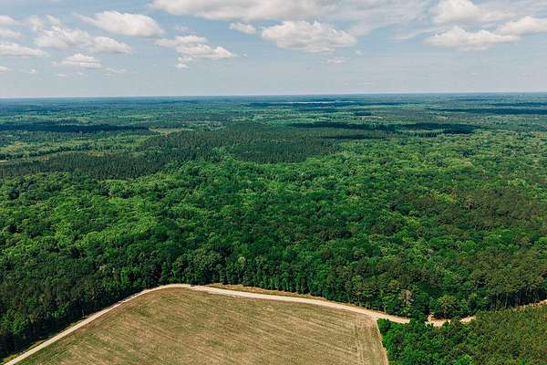 18 Acres of Recreational & Residential Land for Sale in Cope, South Carolina