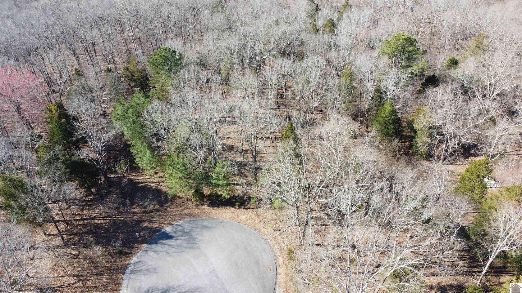 4.53 Acres of Residential Land for Sale in Murray, Kentucky