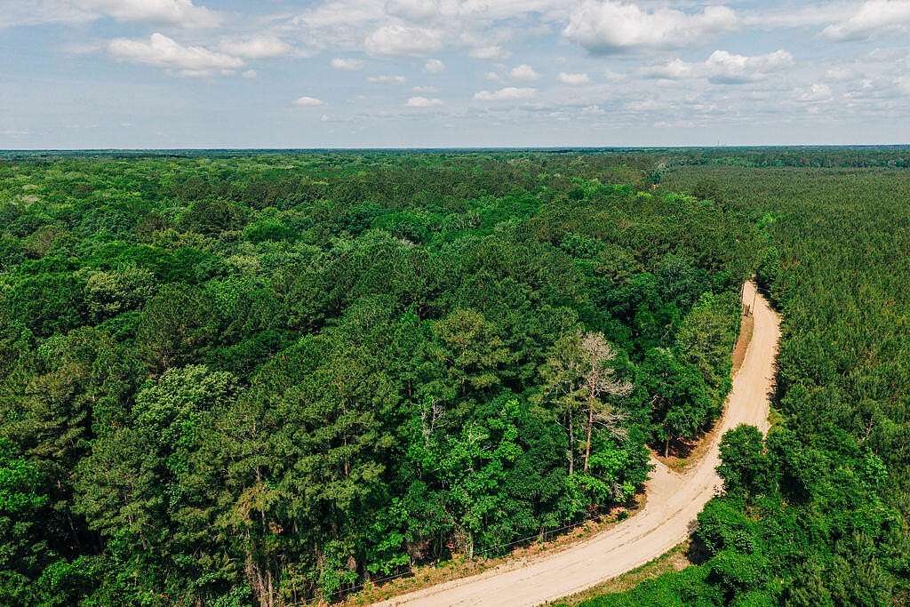 13.3 Acres of Recreational & Residential Land for Sale in Cope, South Carolina