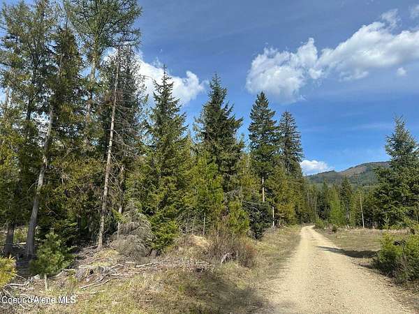 8.22 Acres of Residential Land for Sale in Priest River, Idaho