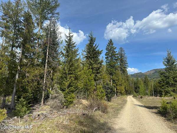 8.22 Acres of Residential Land for Sale in Priest River, Idaho